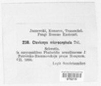 Image Associated With the Occurence
